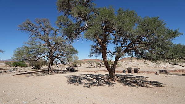 Elegant Desert Lodge Namib Desert Sossusvlei