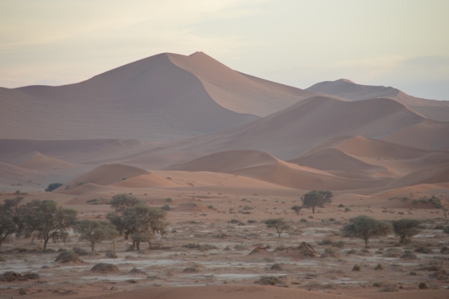 Some of the highest dunes in the world at Little Sossus Camping Sesriem