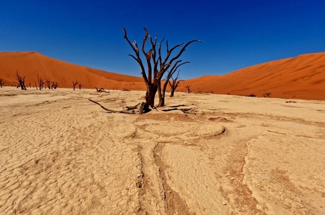 Photography opportunities at Sossusvlei at Little Sossus Camping Sesriem