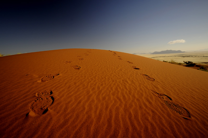 Some of the largest dunes in the world at Sossusvlei at Little Sossus Camping Sesriem
